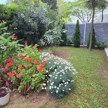 Apartment Avec Terrasse, Jardin Privatif Et Piscine A Cannes